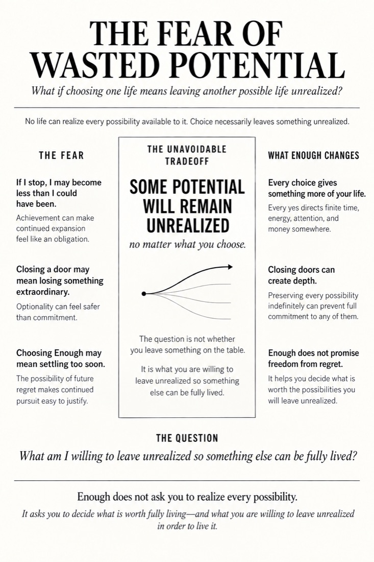 Figure 11: Fear of Wasted Potential — diagram from The Discipline of Enough